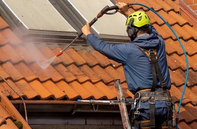 Démoussage et hydrofuge de toiture à Brindas